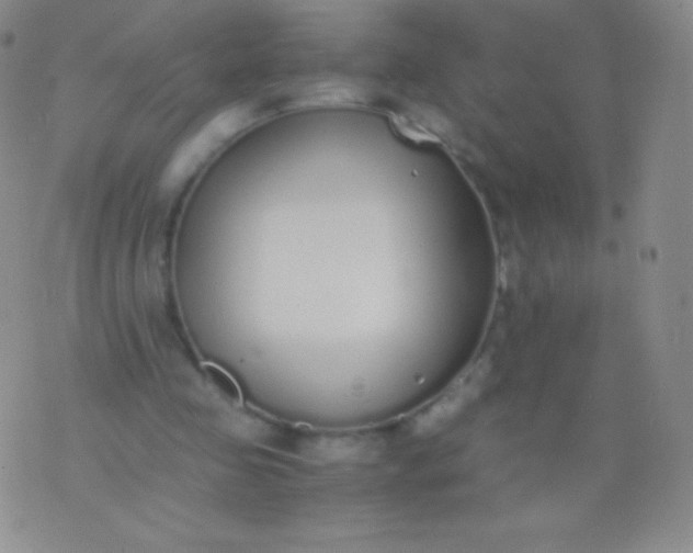 X0000076250341200610122211