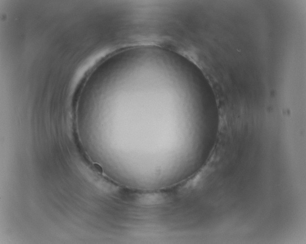 X0000076250342200610122211