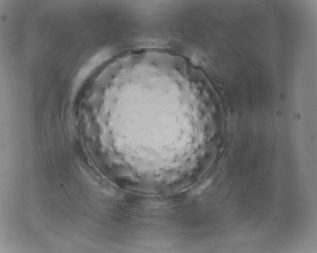 X0000076250343200610122211