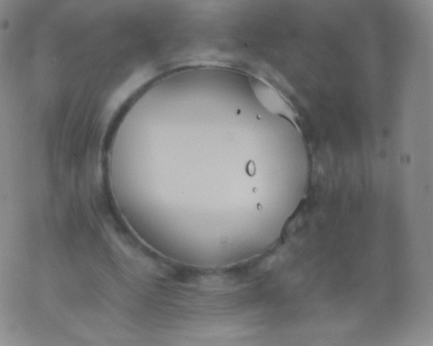 X0000076250344200610122211