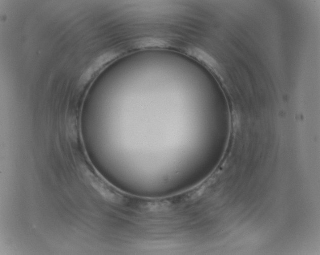 X0000076250345200610122211