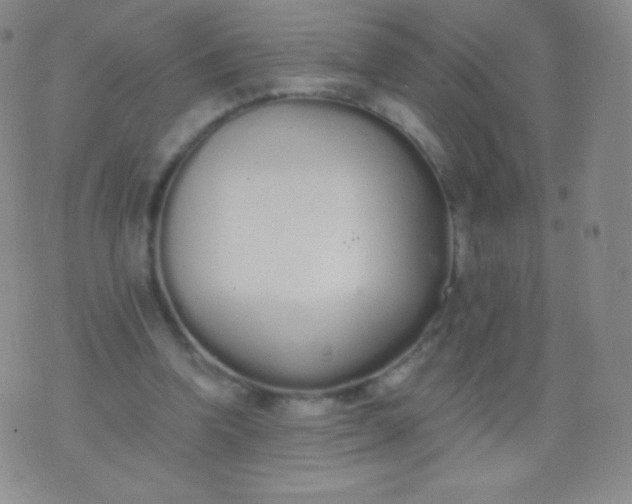 X0000076250346200610122211