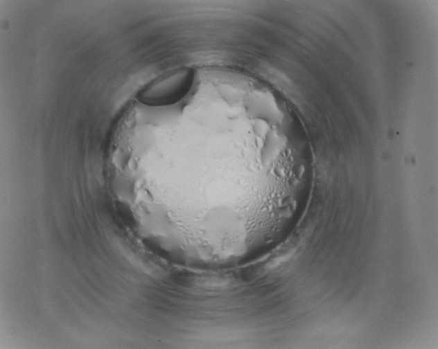 X0000076250347200610122211