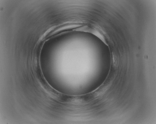 X0000076250348200610122211