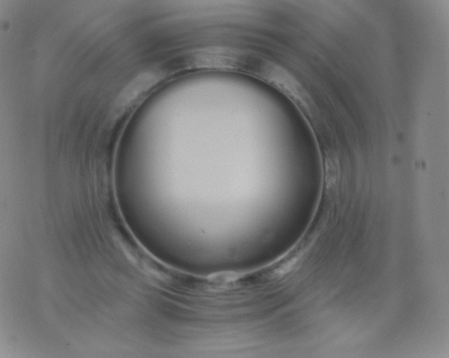 X0000076250349200610122211