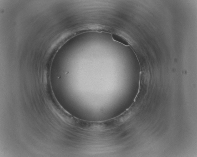 X0000076250350200610122211