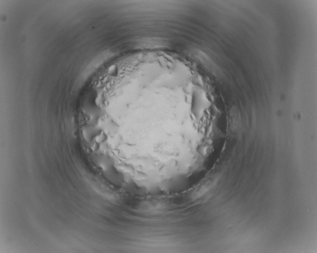 X0000076250351200610122211