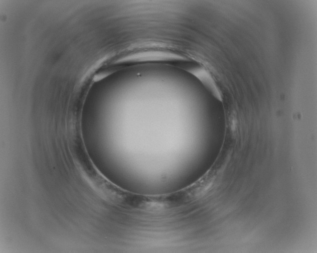 X0000076250352200610122211