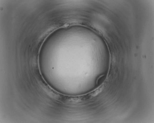 X0000076250353200610122211