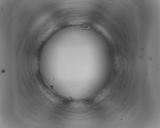 X0000076250354200610122211