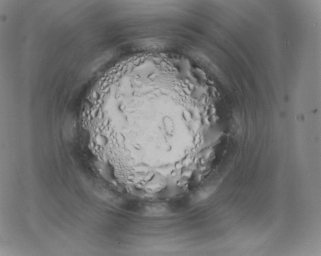 X0000076250355200610122211