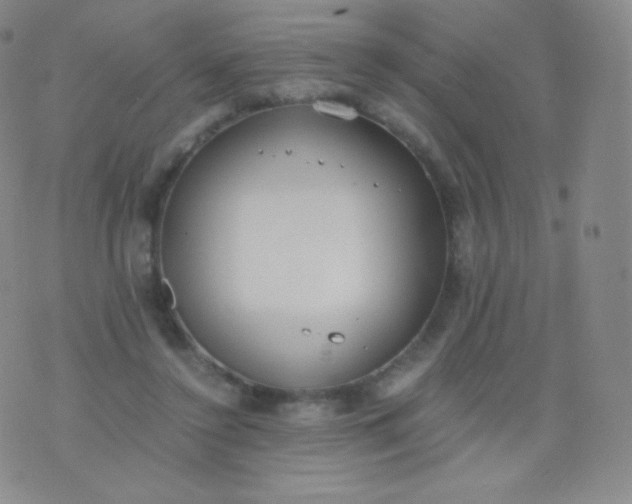 X0000076250356200610122211