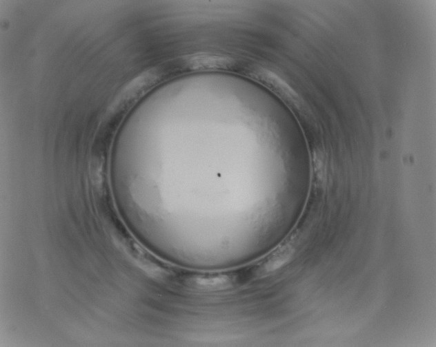 X0000076250357200610122211