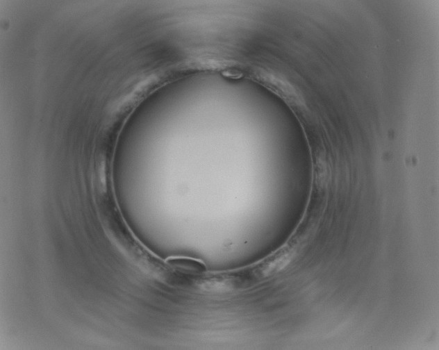 X0000076250358200610122211