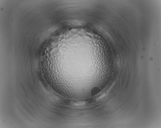 X0000076250359200610122211