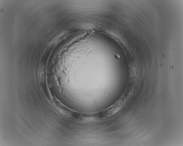 X0000076250360200610122211