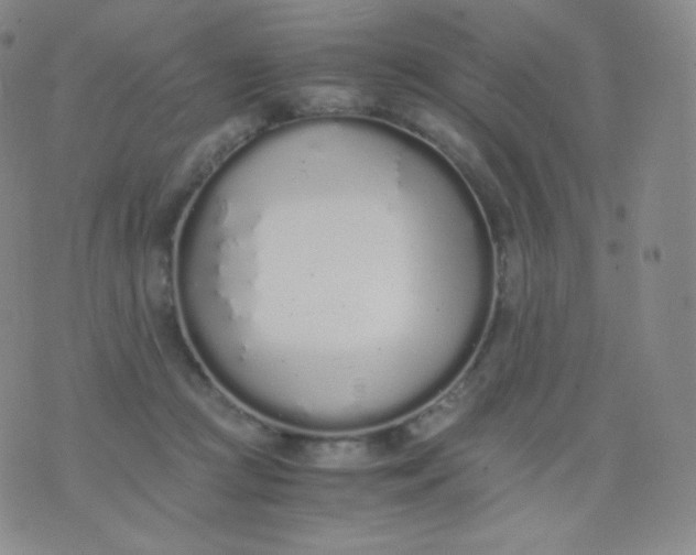 X0000076250361200610122211