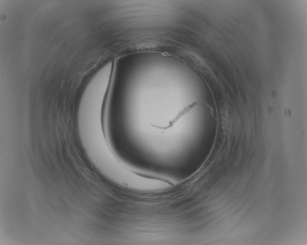 X0000076250362200610122211