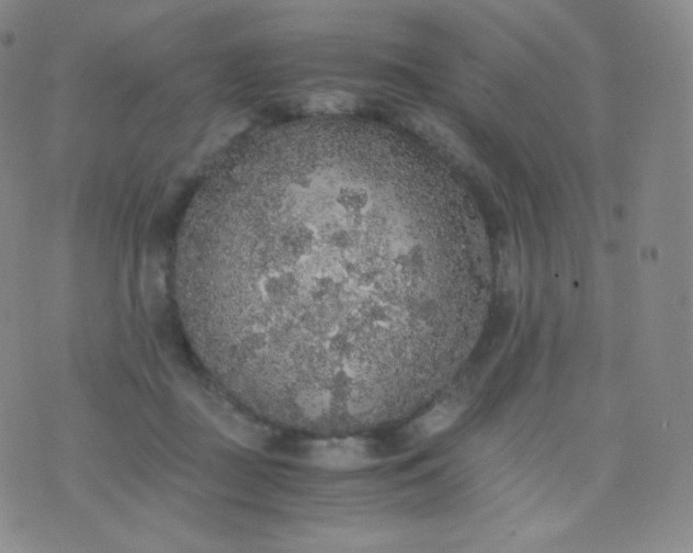 X0000076250363200610122211