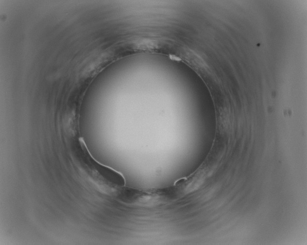 X0000076250364200610122211