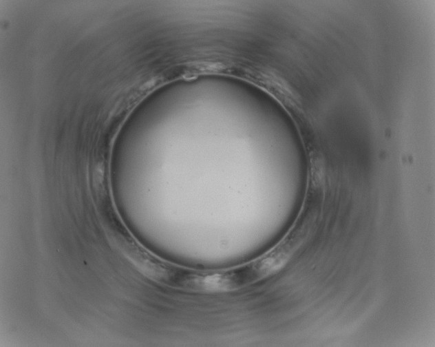 X0000076250365200610122211