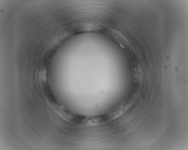 X0000076250368200610122211