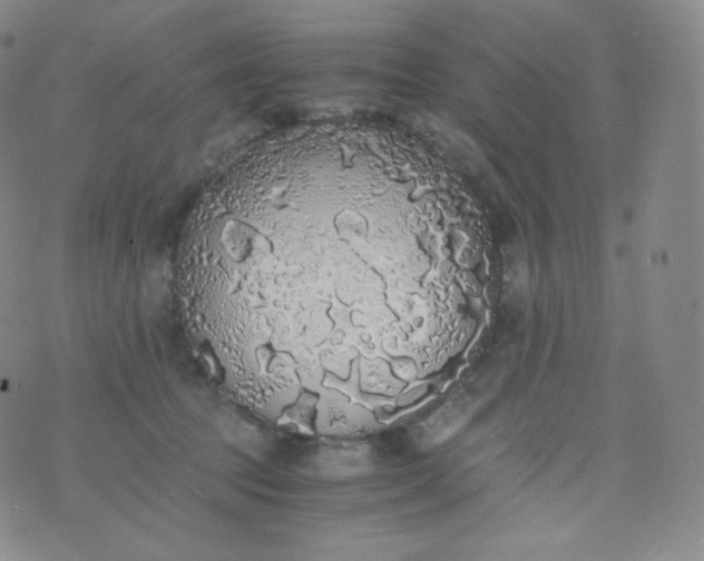 X0000076250369200610122211