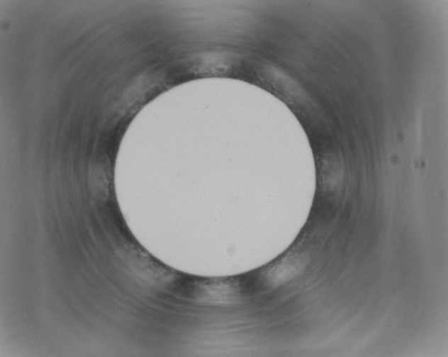 X0000076250370200610122211