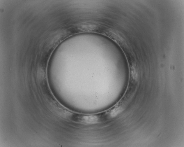 X0000076250371200610122211