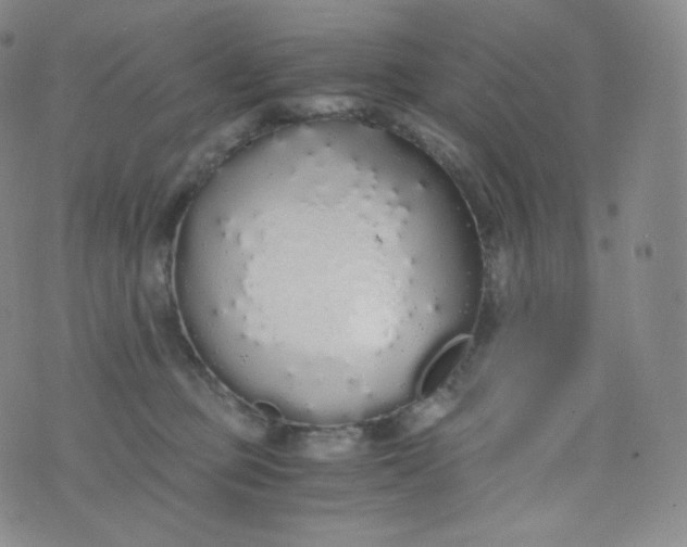 X0000076250373200610122211