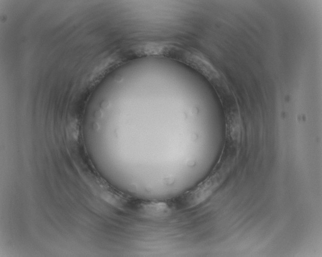 X0000076250374200610122211