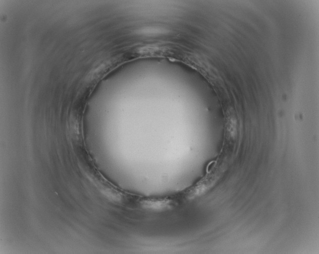 X0000076250375200610122211