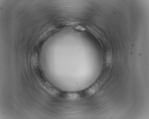 X0000076250376200610122211