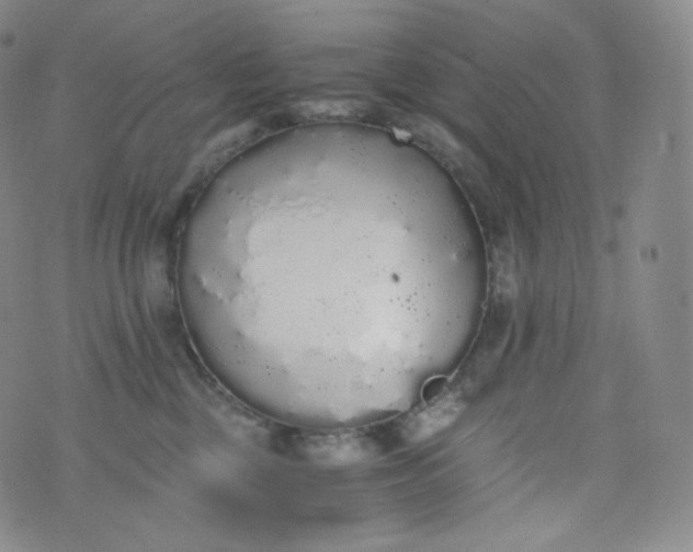 X0000076250377200610122211