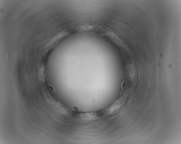 X0000076250378200610122211