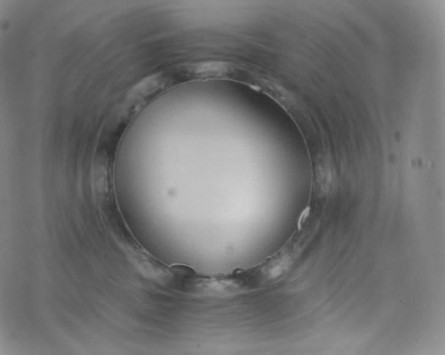 X0000076250379200610122211