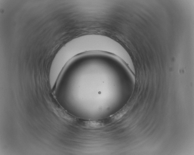 X0000076250380200610122211