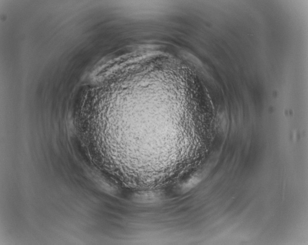 X0000076250381200610122211