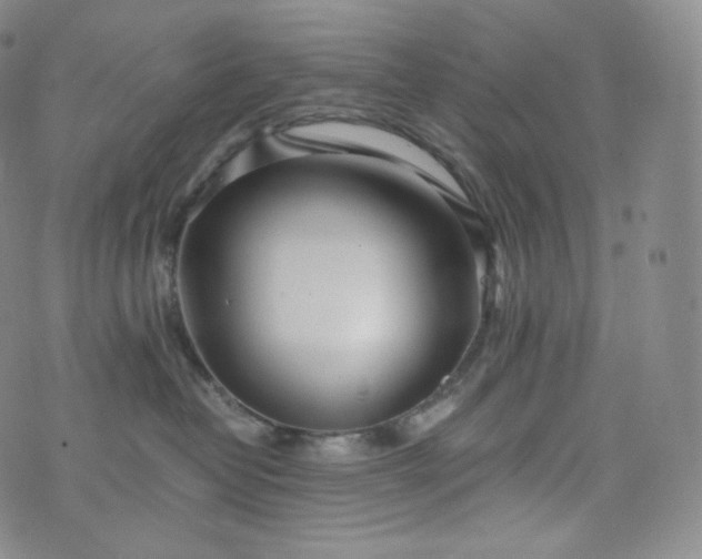 X0000076250382200610122211