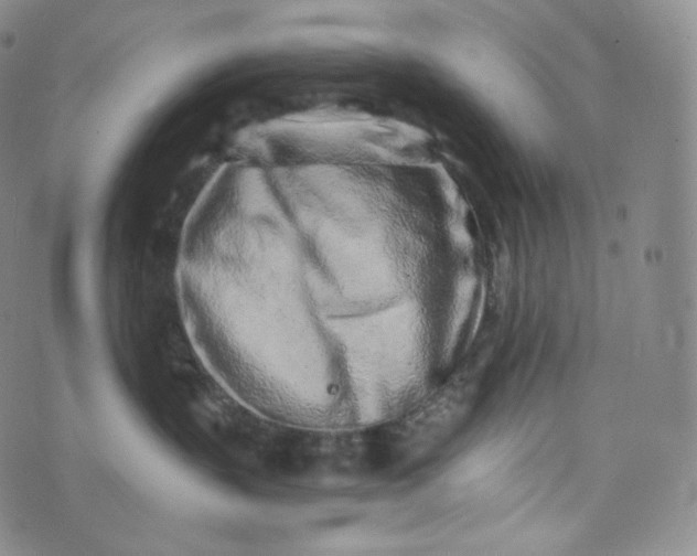 X0000076250383200610122211