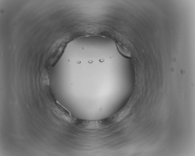 X0000076250384200610122211