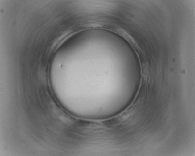 X0000076250386200610122210