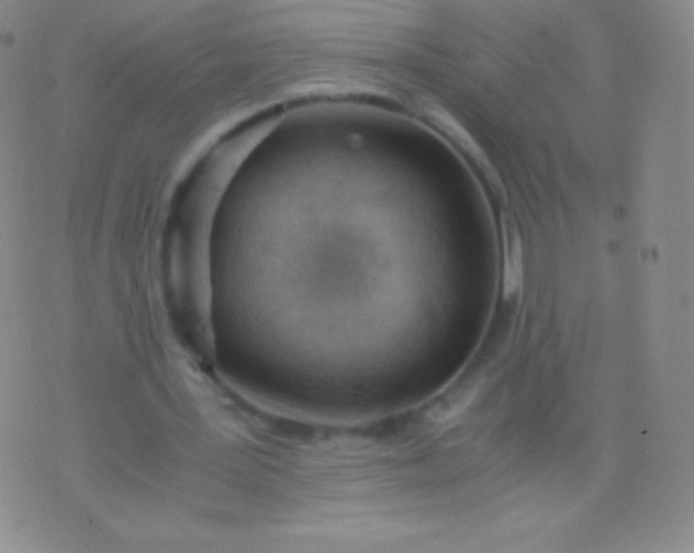 X0000076250387200610122210