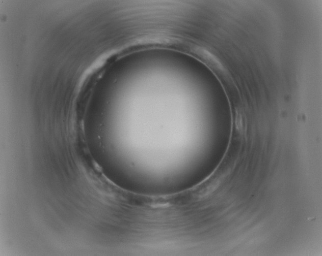 X0000076250388200610122210