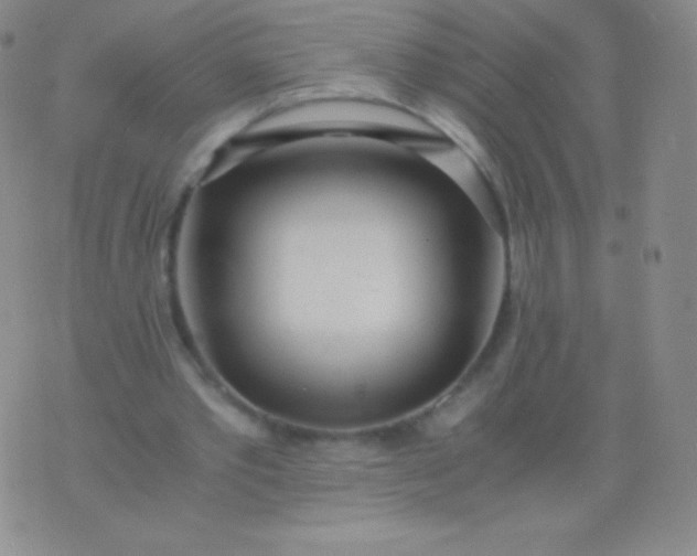 X0000076250389200610122210