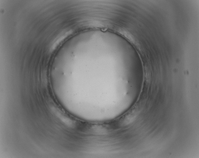 X0000076250390200610122210