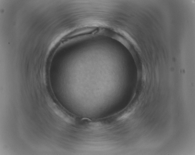 X0000076250391200610122210