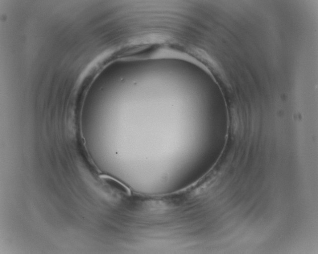 X0000076250392200610122210