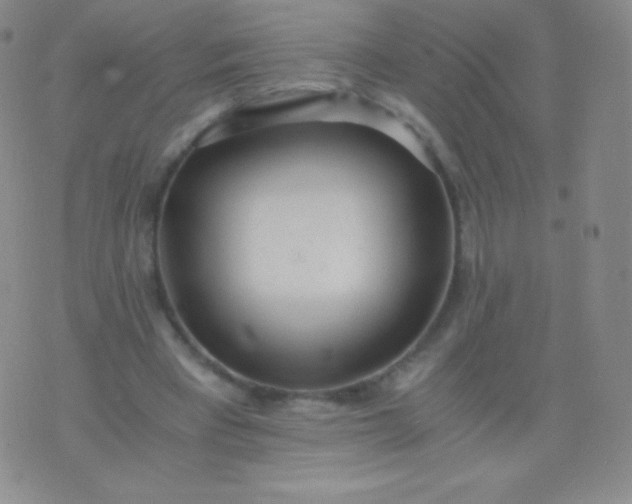 X0000076250393200610122210