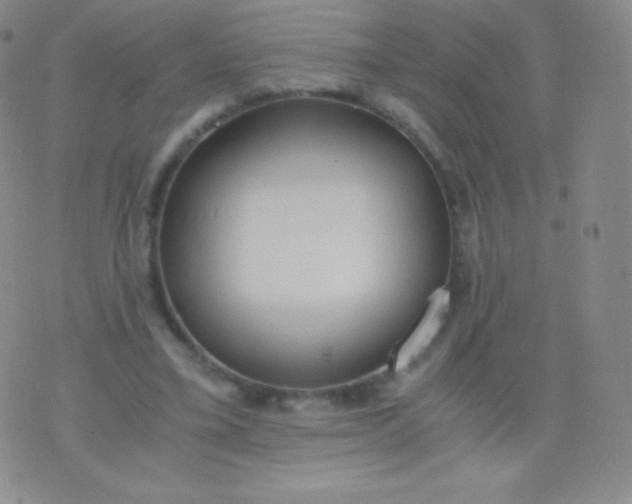 X0000076250395200610122210